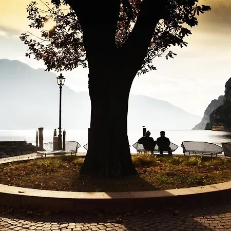 Riva City View *